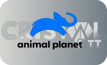 |EXYU| ANIMAL PLANET