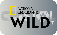 |DK| NAT GEO WILD