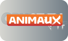 |FR| ANIMAUX 4K
