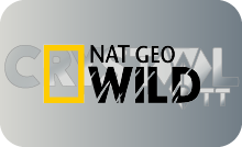 |SP| NAT GEO WILD 4K