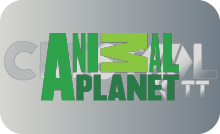 |VN| ANIMAL PLANET HD