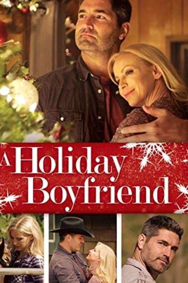 |EN| A Holiday Boyfriend