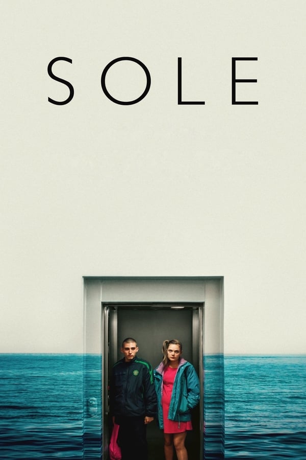 |TR| Sole