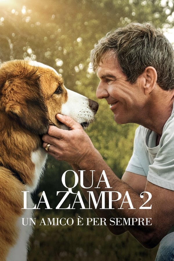 |IT| Qua la zampa 2 - Un amico è per sempre