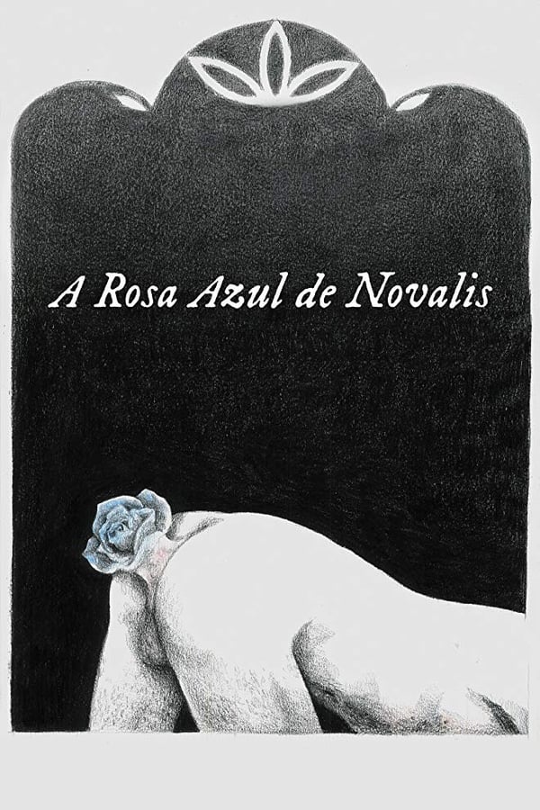 |PT| A Rosa Azul de Novalis